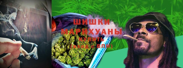 ПСИЛОЦИБИНОВЫЕ ГРИБЫ Алзамай